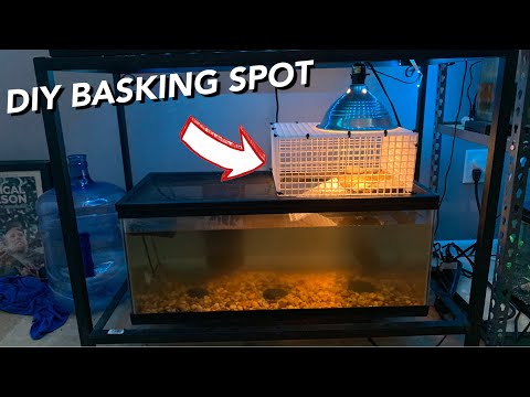 ADDING DIY BASKING SPOT TO TURTLE TANK