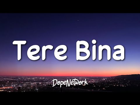 Shreea Kaul - Tere Bina (Lyrics)