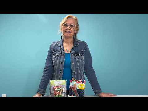 BOM Nov 2021   HD 1080p