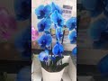 Blue ORCHIDS 😍