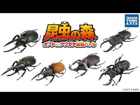 音のカタログ　昆虫の森 編