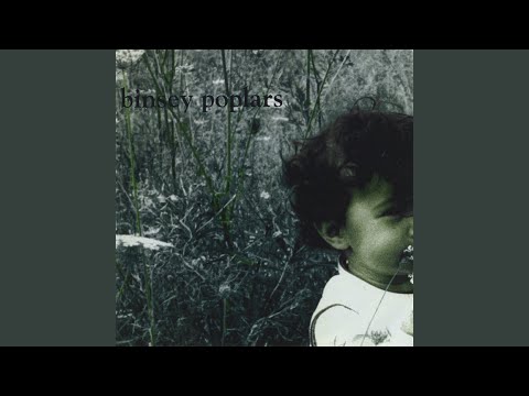 Bloat - Binsey Poplars