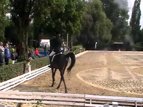 Kick Down Qualifikation zum Bundeschampionat 2012