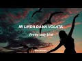 NANCY SINATRA & LEE HAZLEHOOD // LADY BIRD // SUBTITULADO EN ESPAÑOL + LYRICS