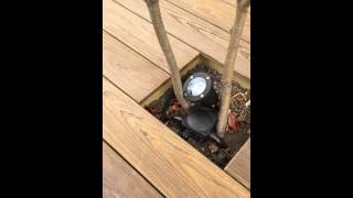 Album cover: Loughton Garden Lighting