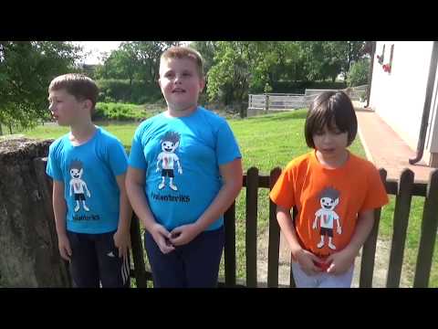 OŠ Sunja, što je volontiranje?