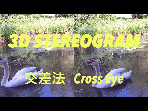 STEREOGRAM (Cross Eye 3D) | 交差法☆ステレオグラム | C17 STEREOSCOPIC