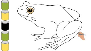 How To Draw A Frog | Frog Drawing Easy Step By Step | Easily Frog Drawing For Kids & Beginners