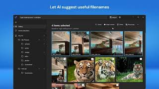Find and Organize Photos with Private, Local AI — ImageSage