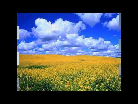 Leopold Yashchenko - Zashumila Kalynon'ka (My Ukraine)  Wasyl Bil  & Taras Yachshenko