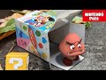 Adopting A Little Goomba Mario Nintendo
