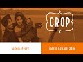 Crop Anmol Preet Whatsapp Status Latest Punjabi Song 2018 New Whatsapp Status Video