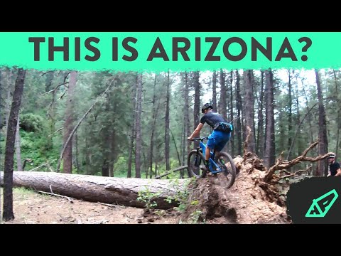 Hardtails on Hard Trails - Riding Kelly Pocket Trail in Flagstaff, AZ