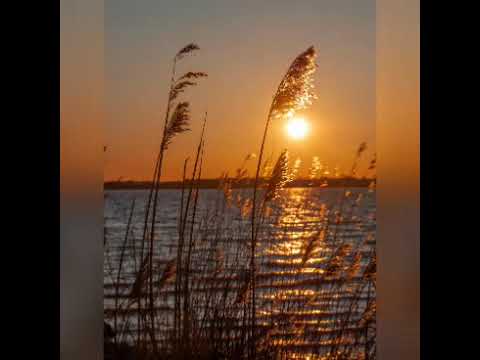 Bailando con el Viento | Luna Cantina