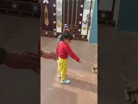 Kuhu & vihu playing with dogs