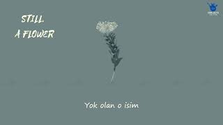 Download lagu CNBLUE- STILL A FLOWER mp3