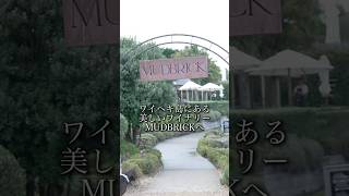 ワイヘキ島の人気ワイナリー "MUDBRICK" でテイスティング🍷🇳🇿 #wine #waihekeisland #auckland #winery #mudbrick