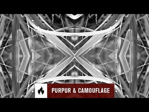 CAPO DI CAPI - Purpur & Camouflage (feat. Danemi Omar)