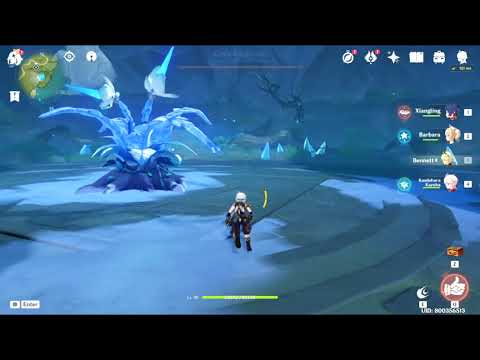 DPS Barbara showcase