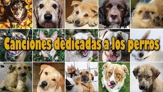 Canciones dedicadas a los perros
