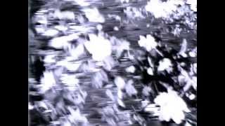 My Dying Bride-The Songless Bird