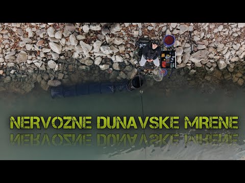 Feederom Na Dunavsku Mrenu/ Nervozne Zimske Mrene 🎣