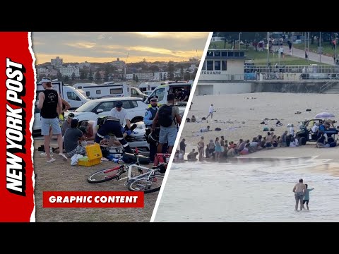 Bondi Beach Terrorist Attack Shooting and Aftermath