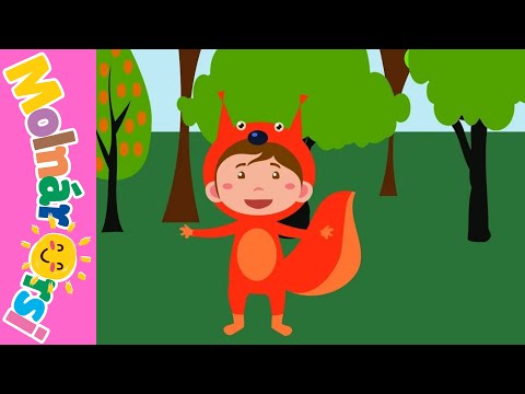 🐿️ Mókuska, mókuska 🐿️