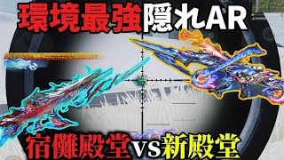 【最凶vs 新最強】最近ハマってる隠れ最強AR倍スコがグロ強過ぎた【荒野行動】