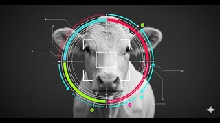 Better Gemini Answers in 60 Seconds
