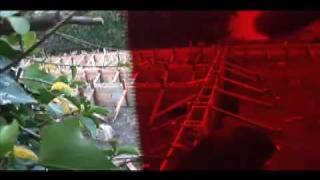 Robert Pollard - Love Is Stronger Than Witchcraft