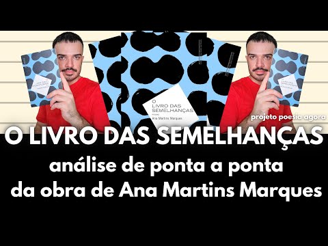 O Livro das Semelhanas: Ana Martins Marques e o erotismo que vem das coisas