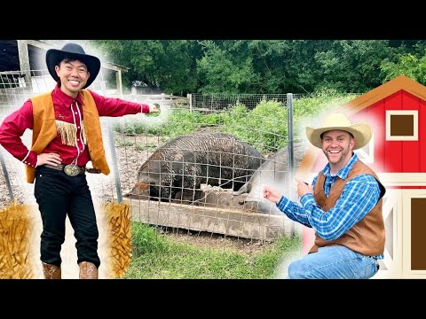 Two cowboys in western outfits stand by a pig pen, pointing at a resting pig inside the wire enclosure on a farm.