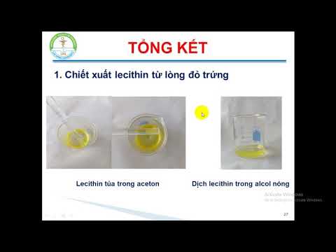 Hóa Sinh: Bài 4 Lipid (tổng kết)