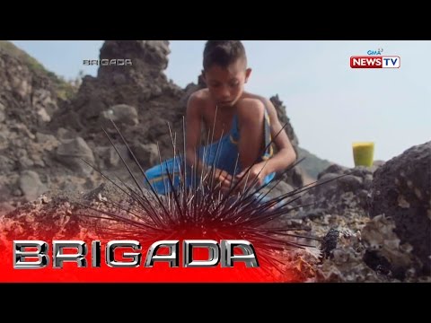 Bioliposaktor tiyan slimming complex Mawalan ng timbang sa pelikula ng isang lihim na