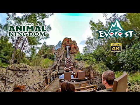 Expedition Everest Roller Coaster On Ride 4K POV Disney's Animal Kingdom 2024 03 05