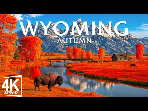 🍂 Wyoming in Autumn 4K – Amazing Fall Film – 4K Natural Landscape Experience