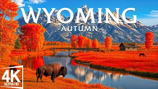 🍂 Wyoming in Autumn 4K – Amazing Fall Film – 4K Natural Landscape Experience