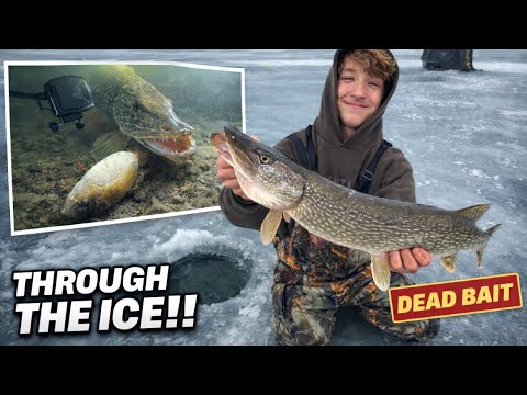 Fish of a Lifetime Through ￼the Ice!!
