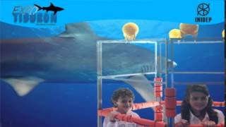 DIA 3 Expo Tiburon125