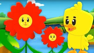 Papaveri E Papere | Canzoni Per Bambini | Bambini Rime | Nursery Rhymes | Kids Tv Italiano