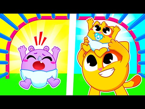 Little Brother Song | Funny Songs For Baby & Nursery Rhymes by Toddler Zoo
