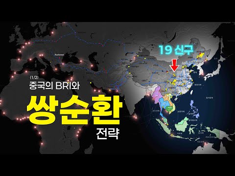 중국의 쌍순환 전략