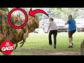 Best Of Evil Pranks Part 3 Just For Laughs Gags
