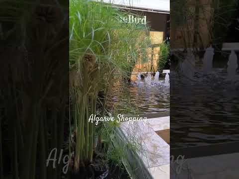 Algarve Shopping, Guia Albufeira, Portugal #shopping #algarve #travel