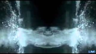 Amor,amor  by J Rudy