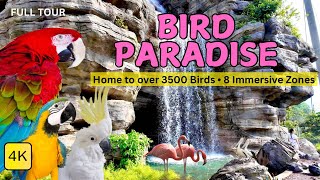 Bird Paradise Singapore 2025! Walking Tour at the LARGEST Bird Park in ASIA, Attractions & More! 4K