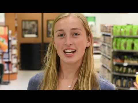 Seeing eye dog documentary