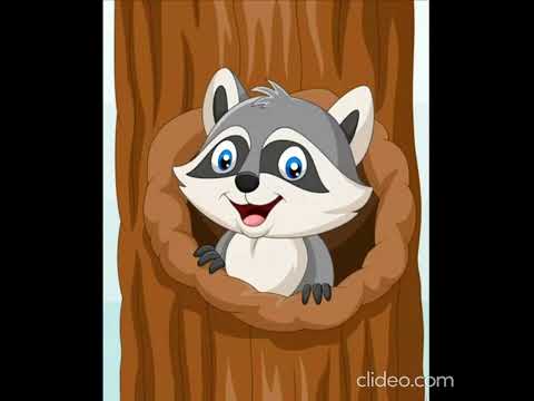 Salvatore l'Orsetto Lavatore   di Silverio Pisu