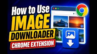 How to Use Image Downloader Chrome Extension